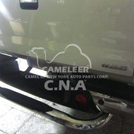 Stainless Steel Rear Guard