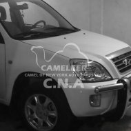 Stainless Steel Front Guard with Side Oval Pipes
